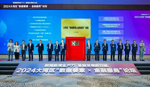 以數(shù)提質(zhì)，開啟數(shù)據(jù)資產(chǎn)金融化新探索——2024大灣區(qū)數(shù)據(jù)要素金融服務(wù)論壇聚焦新材料技術(shù)推廣服務(wù)
